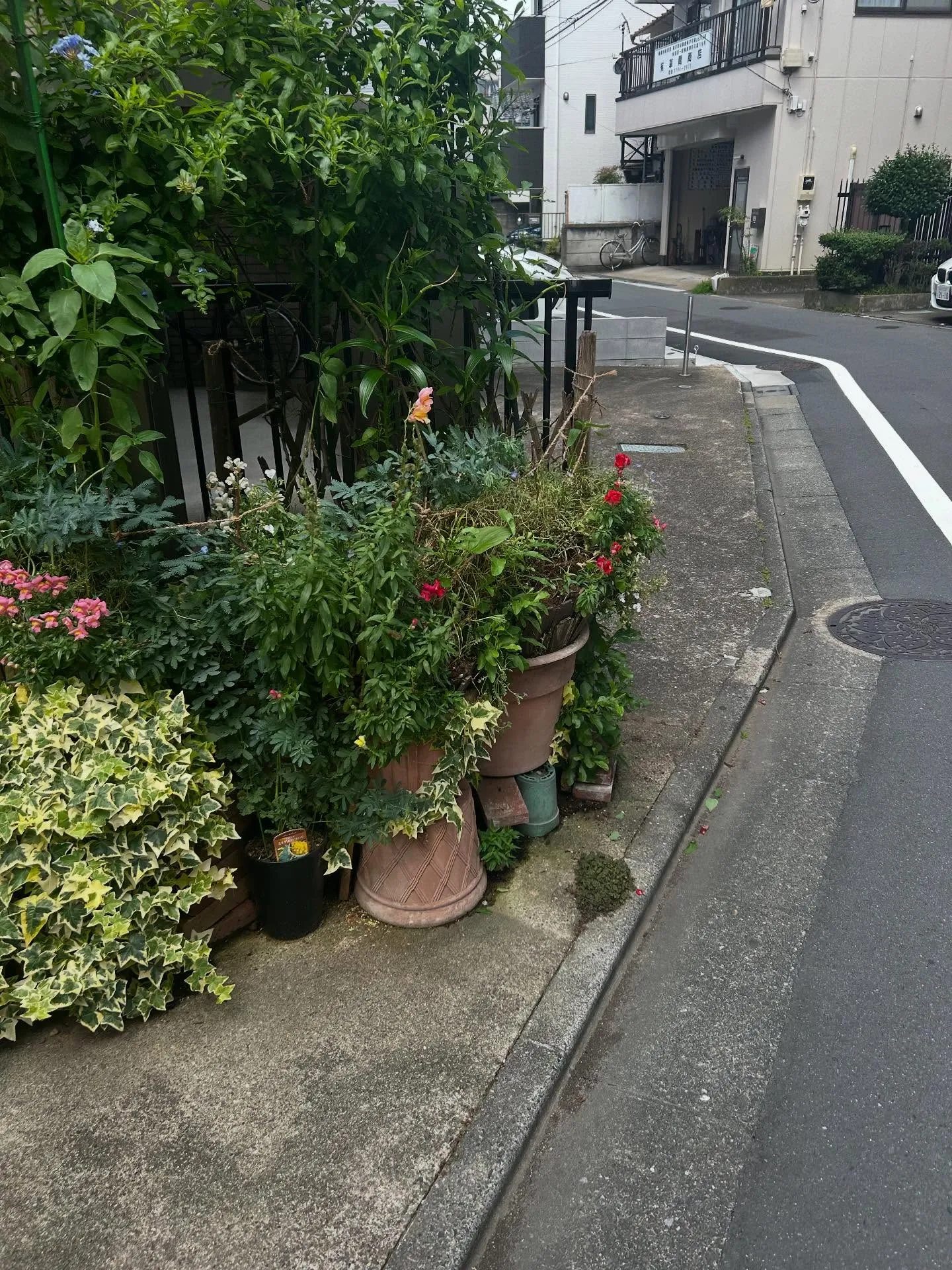 『ピアノ教室』音楽に関する相談はシェリー・アーツ音楽教室にお...