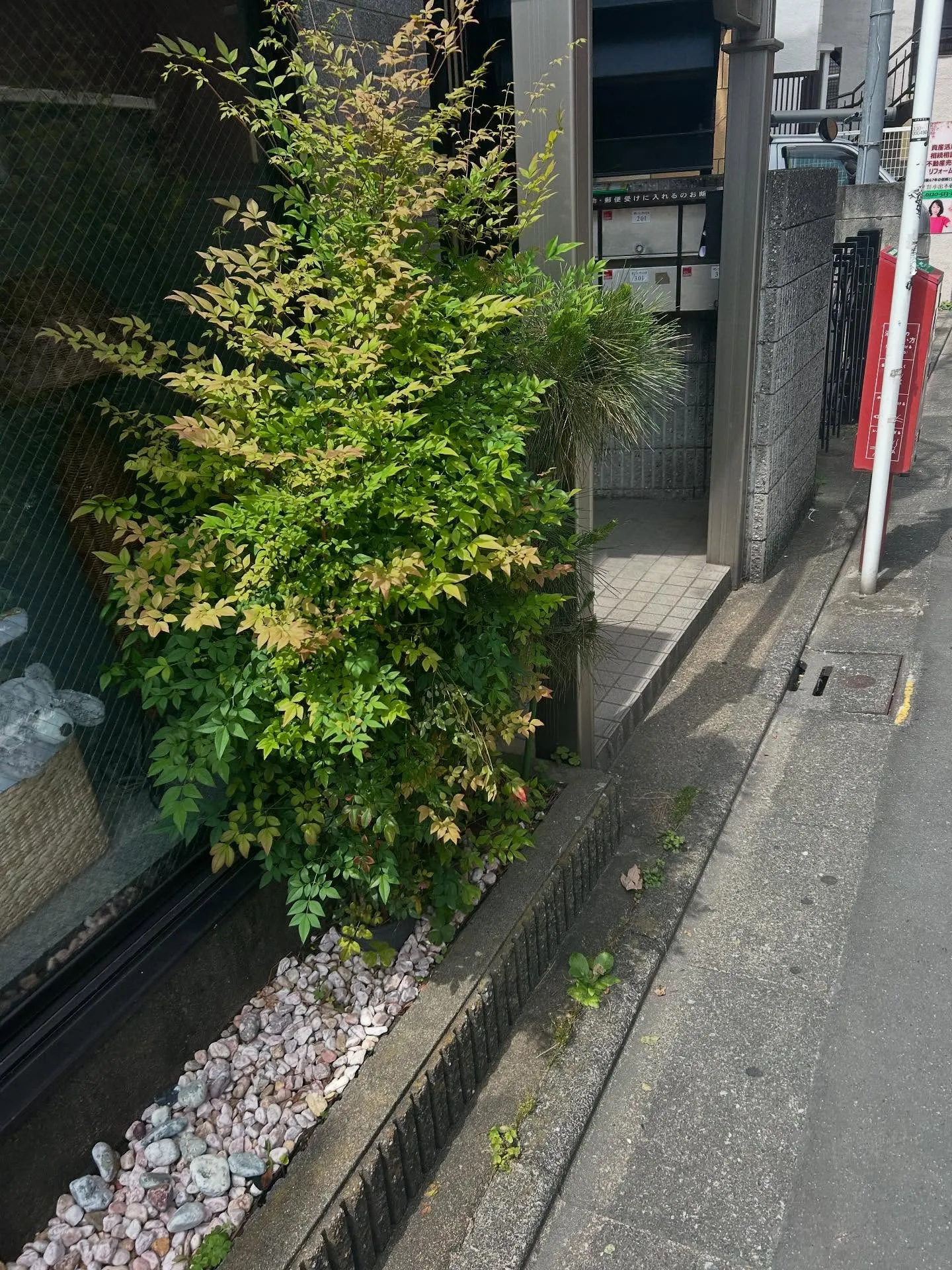 『ピアノ教室』お子様の情操教育に力を入れています - シェリ...