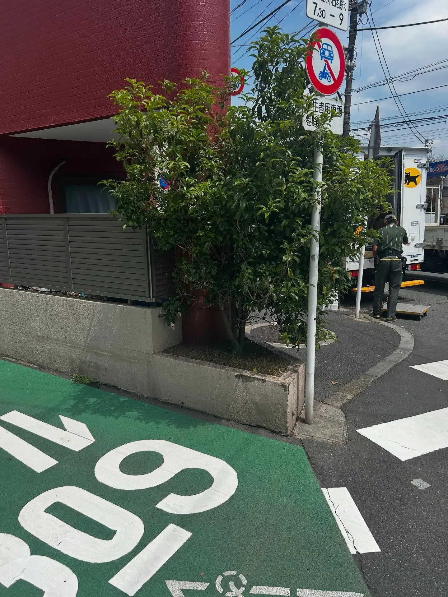 『ピアノ教室』お子様の情操教育に力を入れています - シェリ...