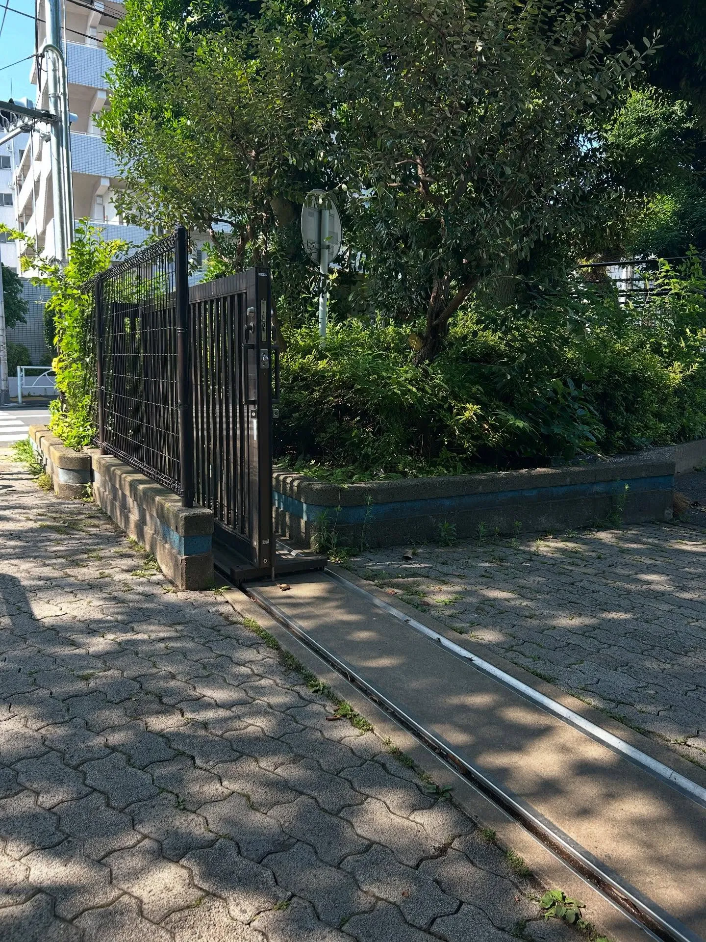 『ピアノ音を』シェリー・アーツ音楽教室:発達に遅れのあるお子...