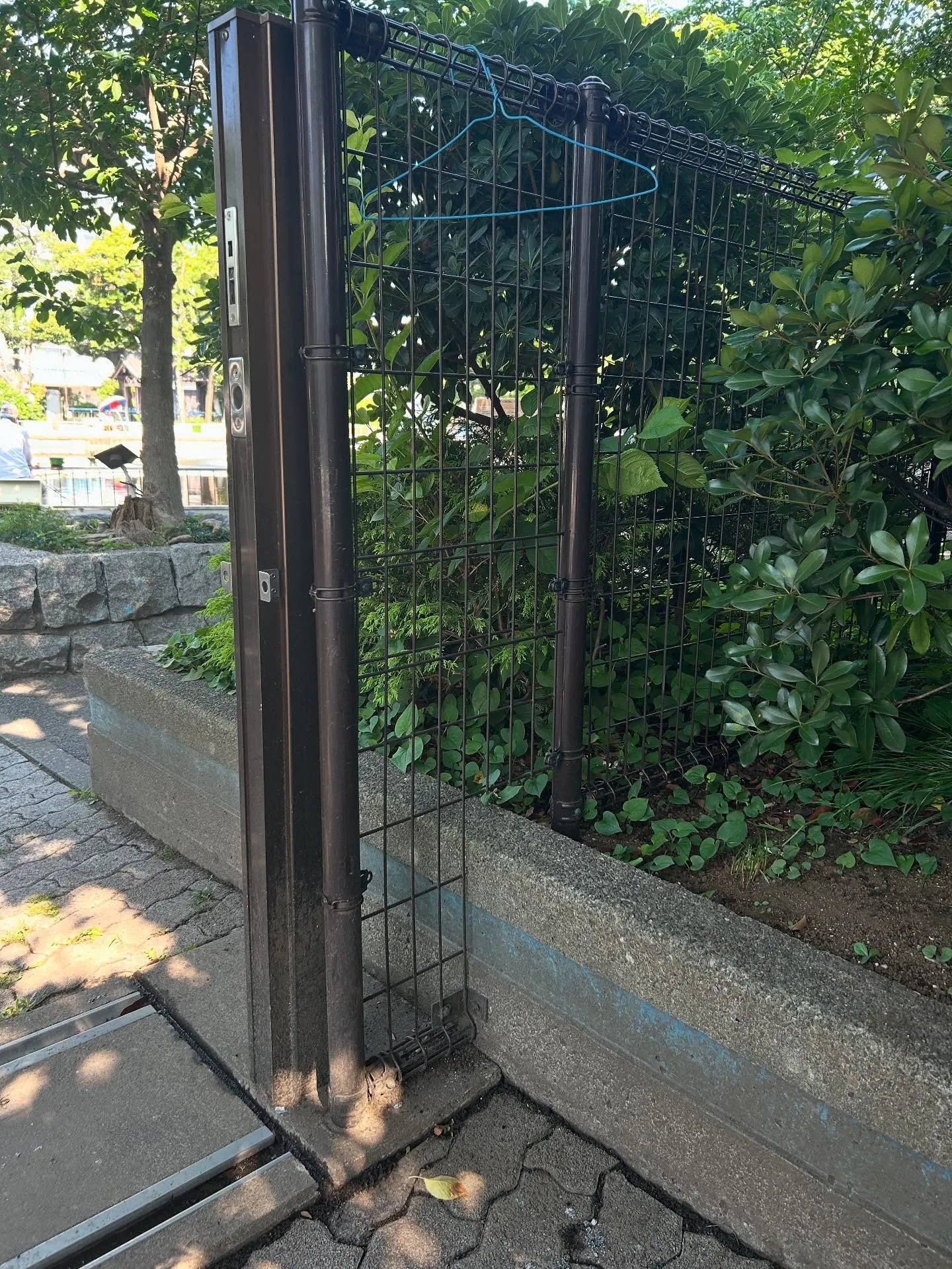 『ピアノ音を』シェリー・アーツ音楽教室:発達に遅れのあるお子...