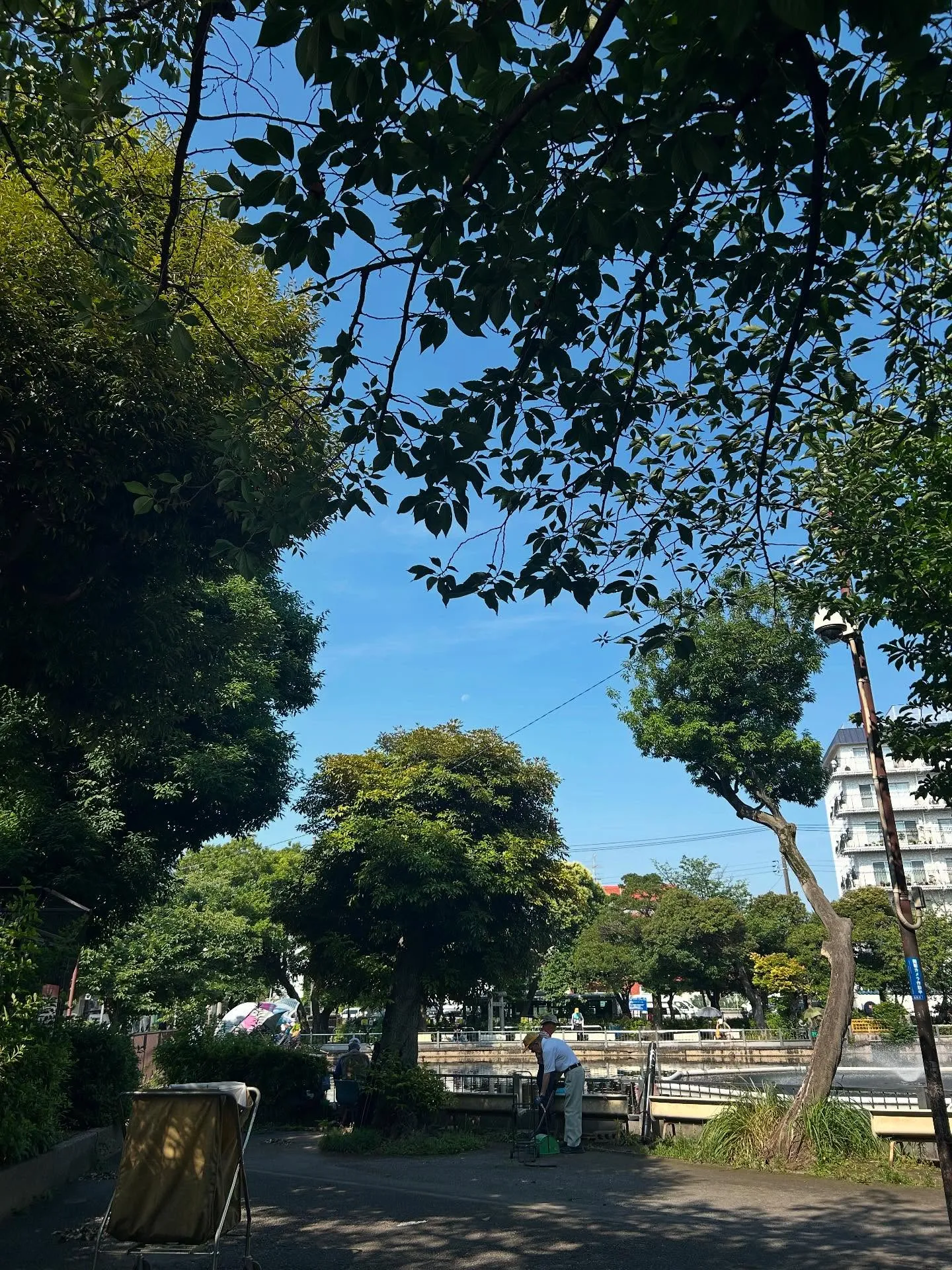 『ピアノ教室』暑い季節に涼しい音楽はいかが?『学芸大学』