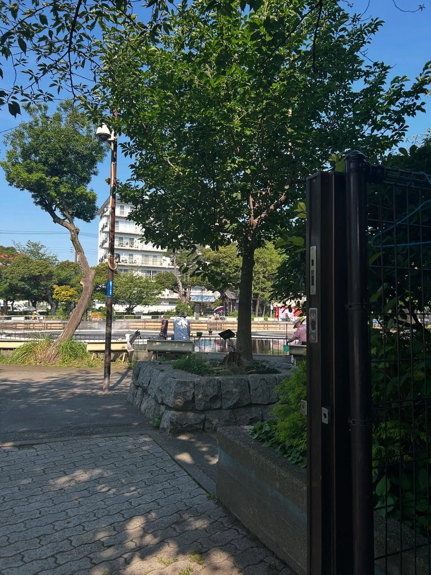 『ピアノ教室』暑い季節に涼しい音楽はいかが?『学芸大学』