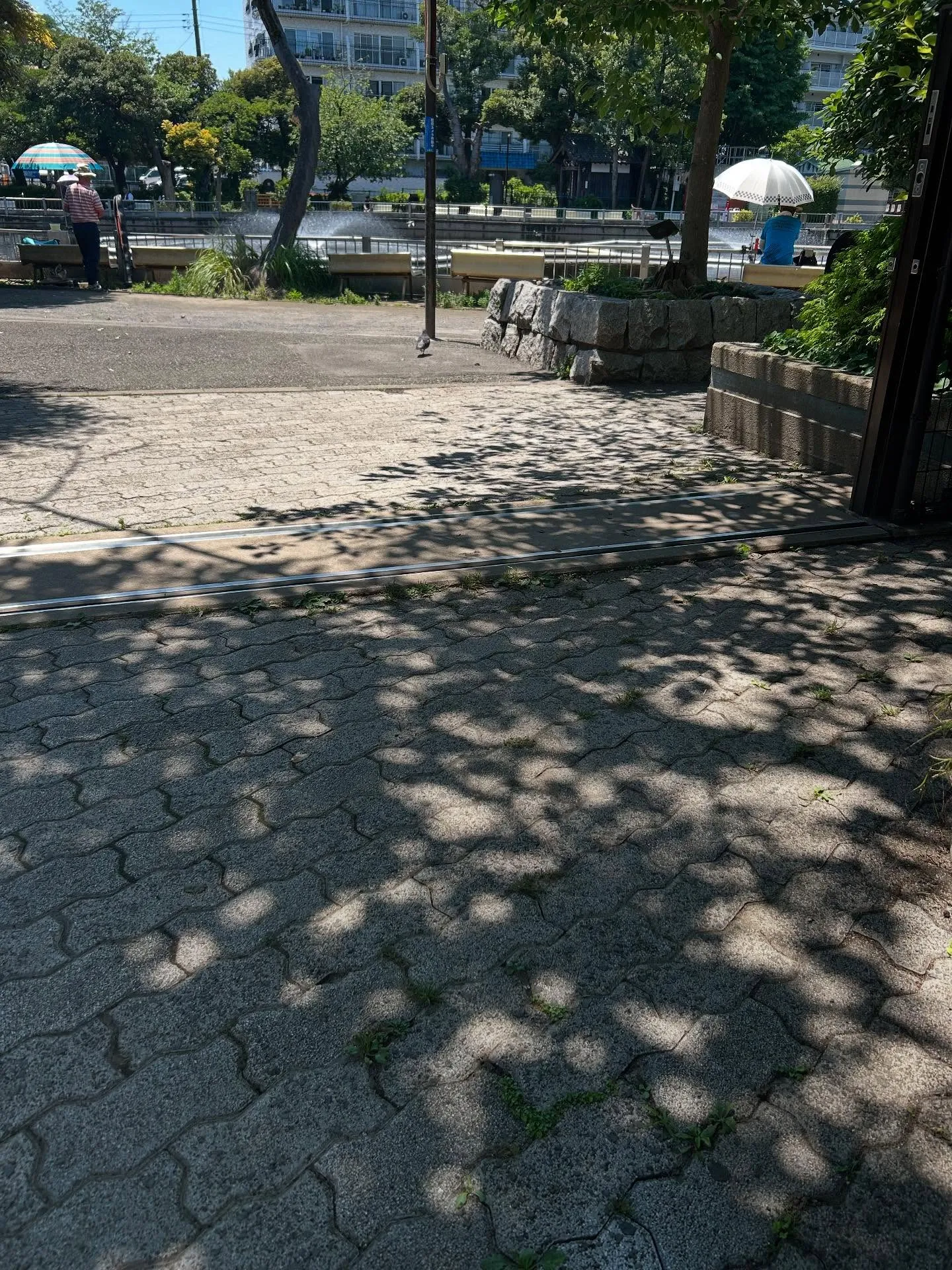 『ピアノ教室』初心者大歓迎!シェリー・アーツ音楽教室で音楽を...