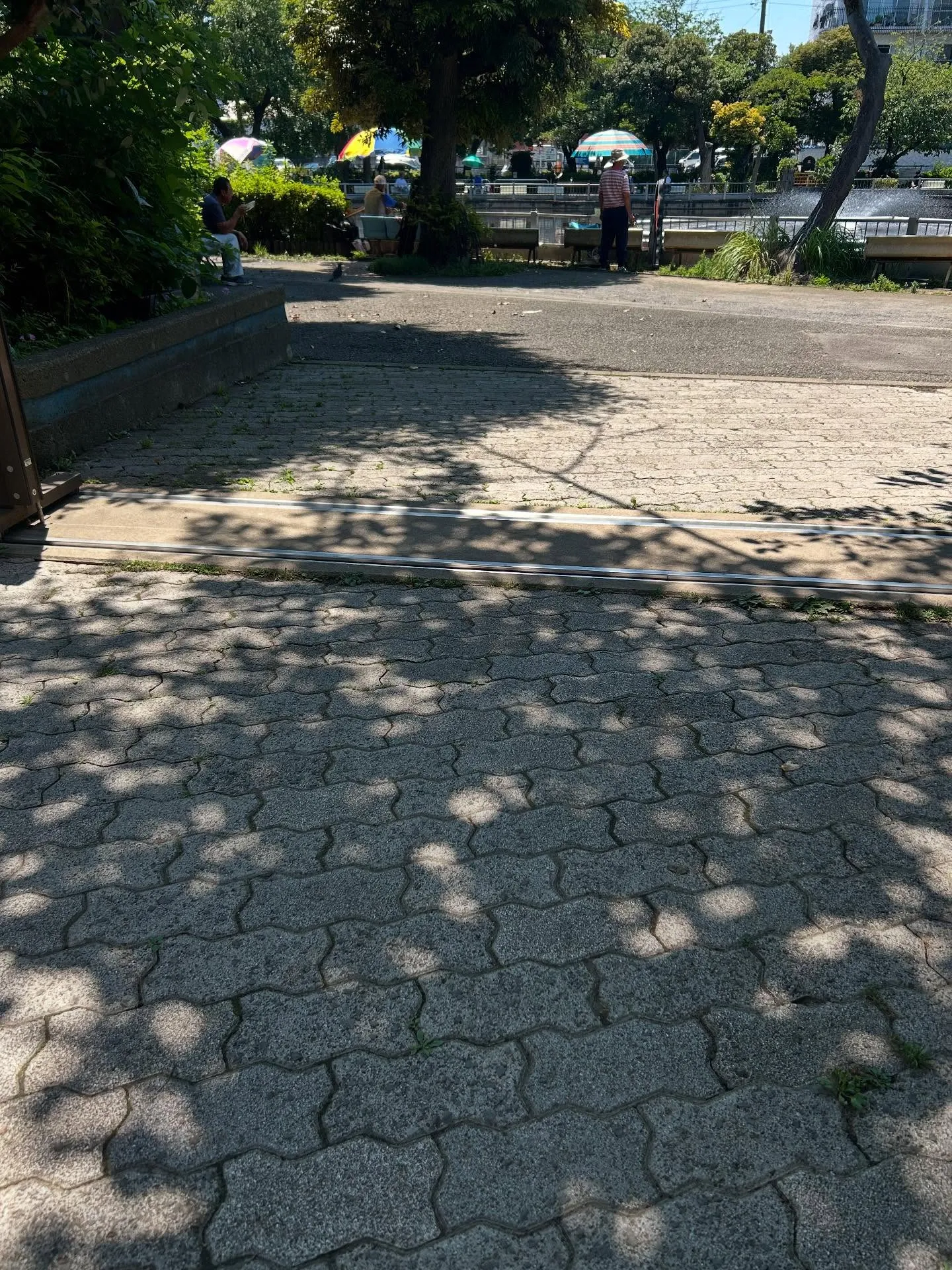 『ピアノ教室』初心者大歓迎!シェリー・アーツ音楽教室で音楽を...