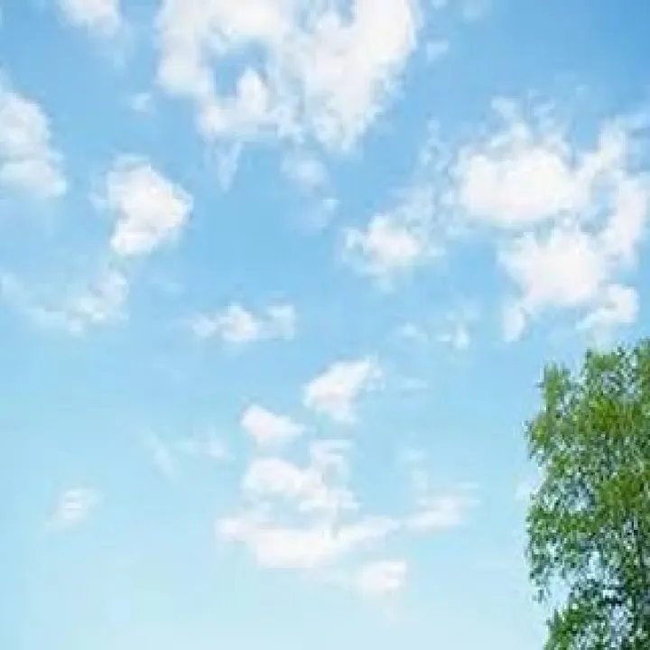 『ピアノ教室』脳の活性化に音楽が与える影響『学芸大学』