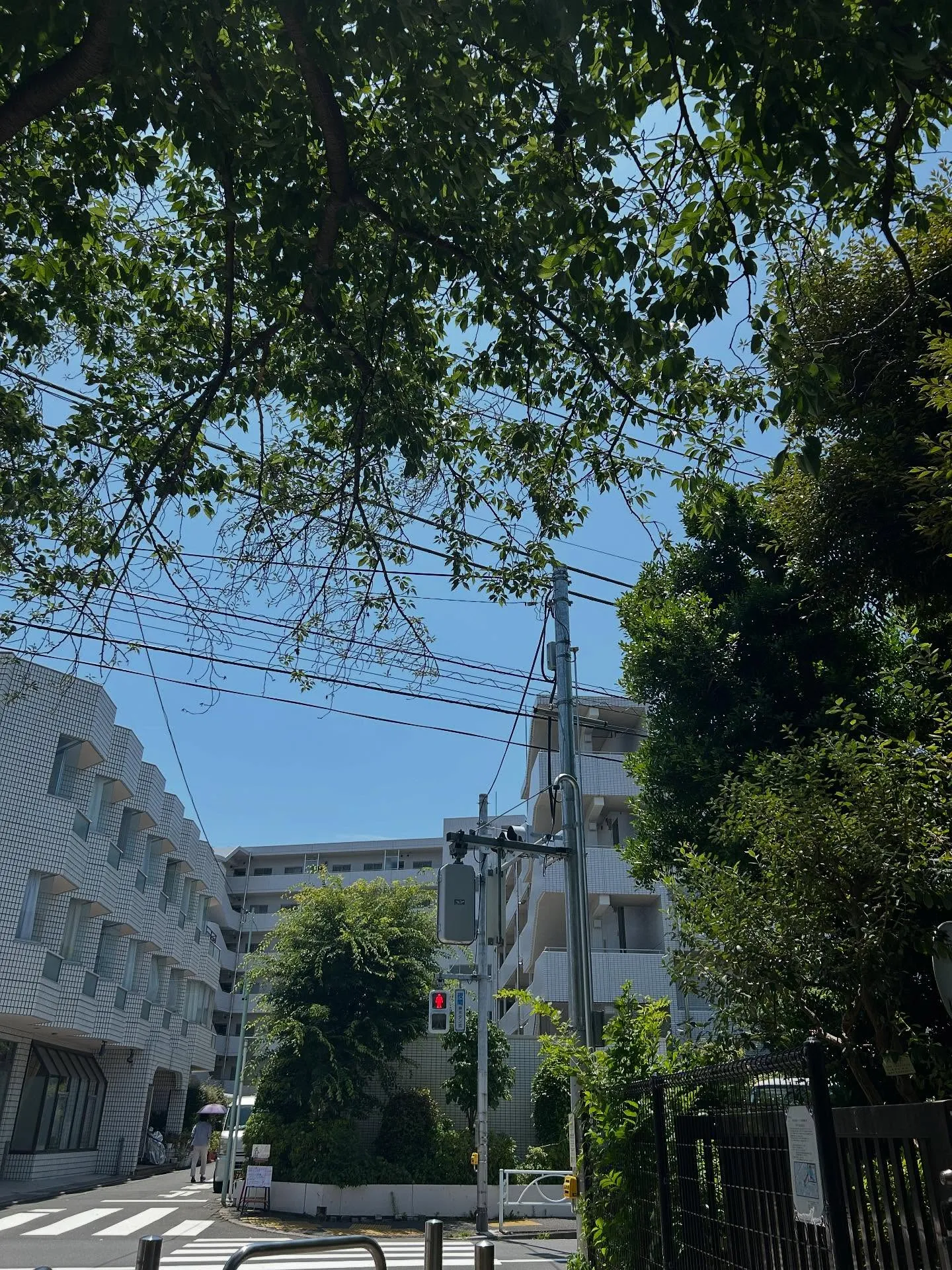 『ピアノ教室』作曲家の意図の尊重：シェリー・アーツ音楽教室の...