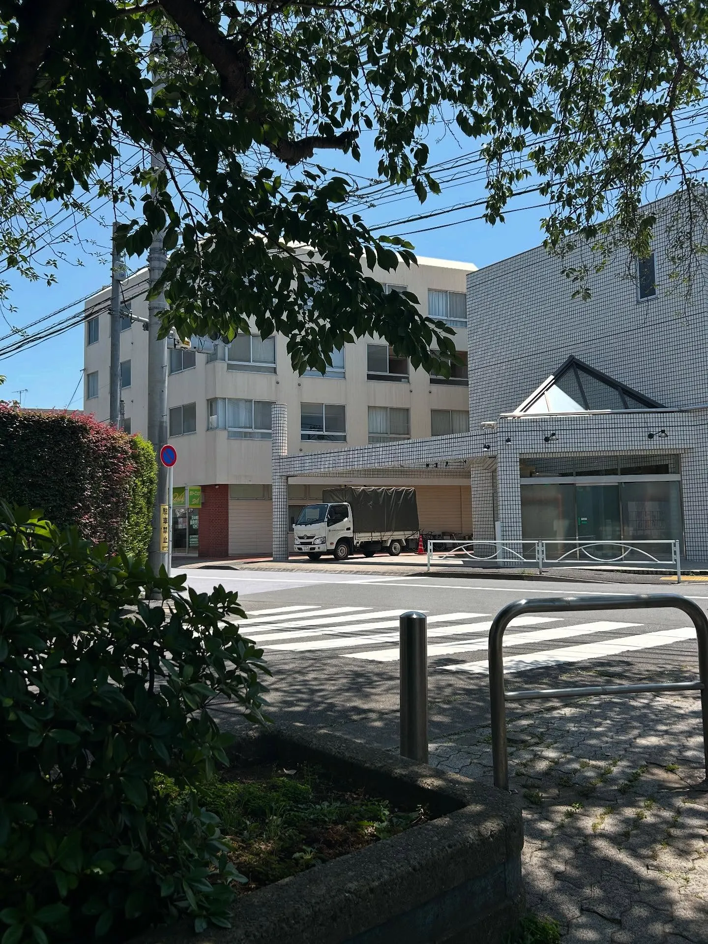 『ピアノ教室』音楽について語り合う楽しさ - シェリー・アー...