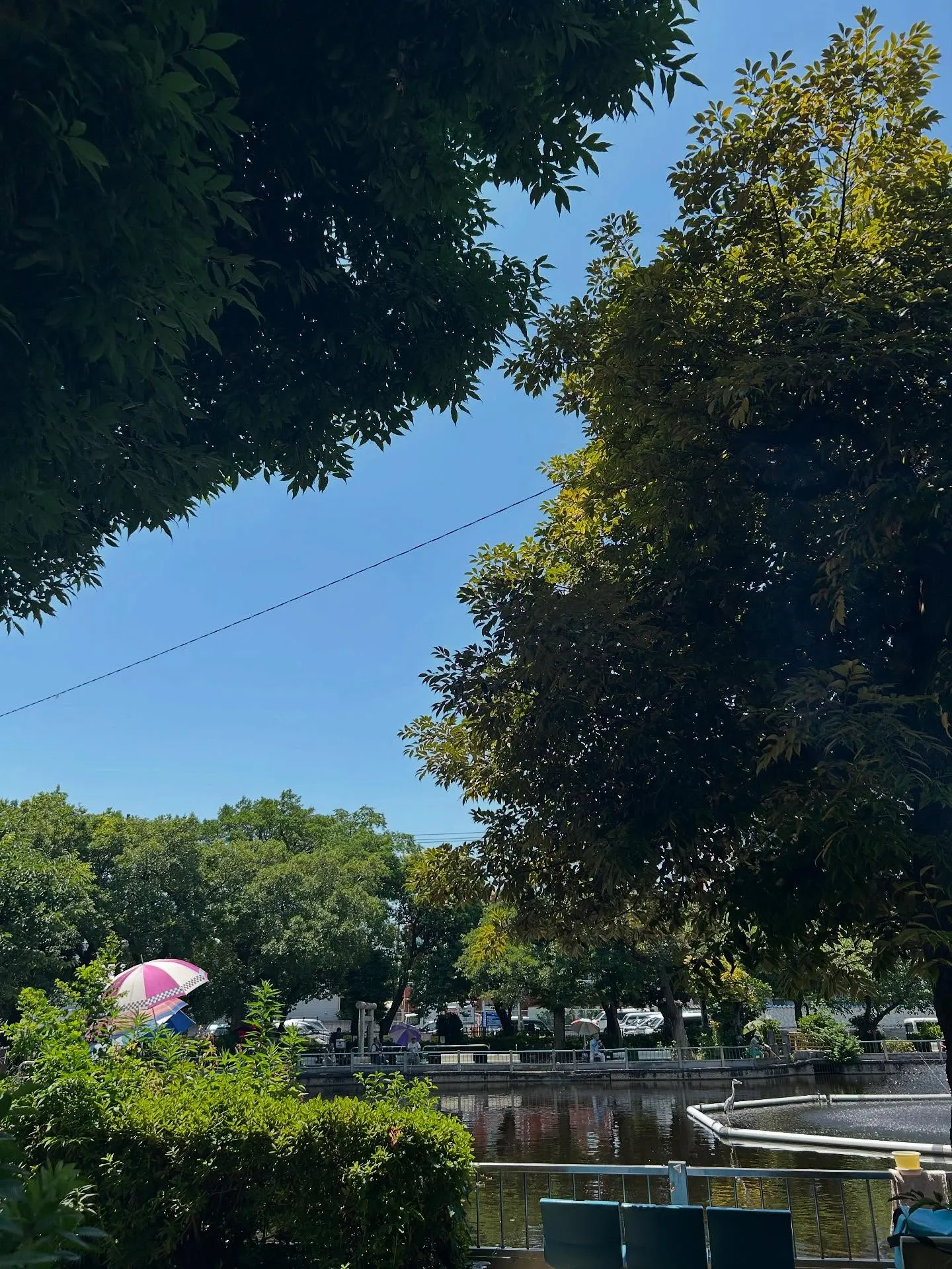 『ピアノ教室』音楽家よクレバーであれ — シェリー・アーツ音...