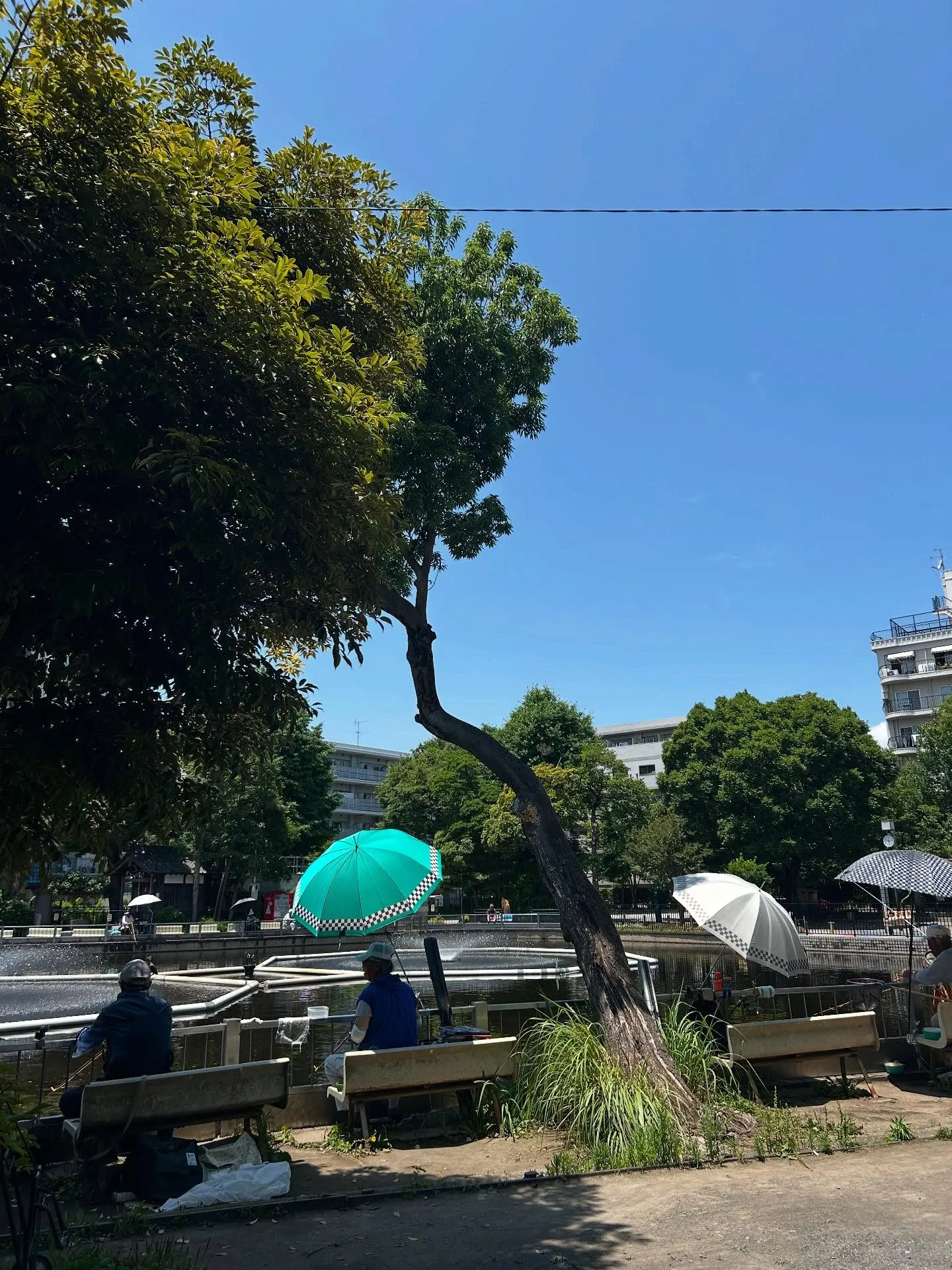 『ピアノ教室』音楽家よクレバーであれ — シェリー・アーツ音...