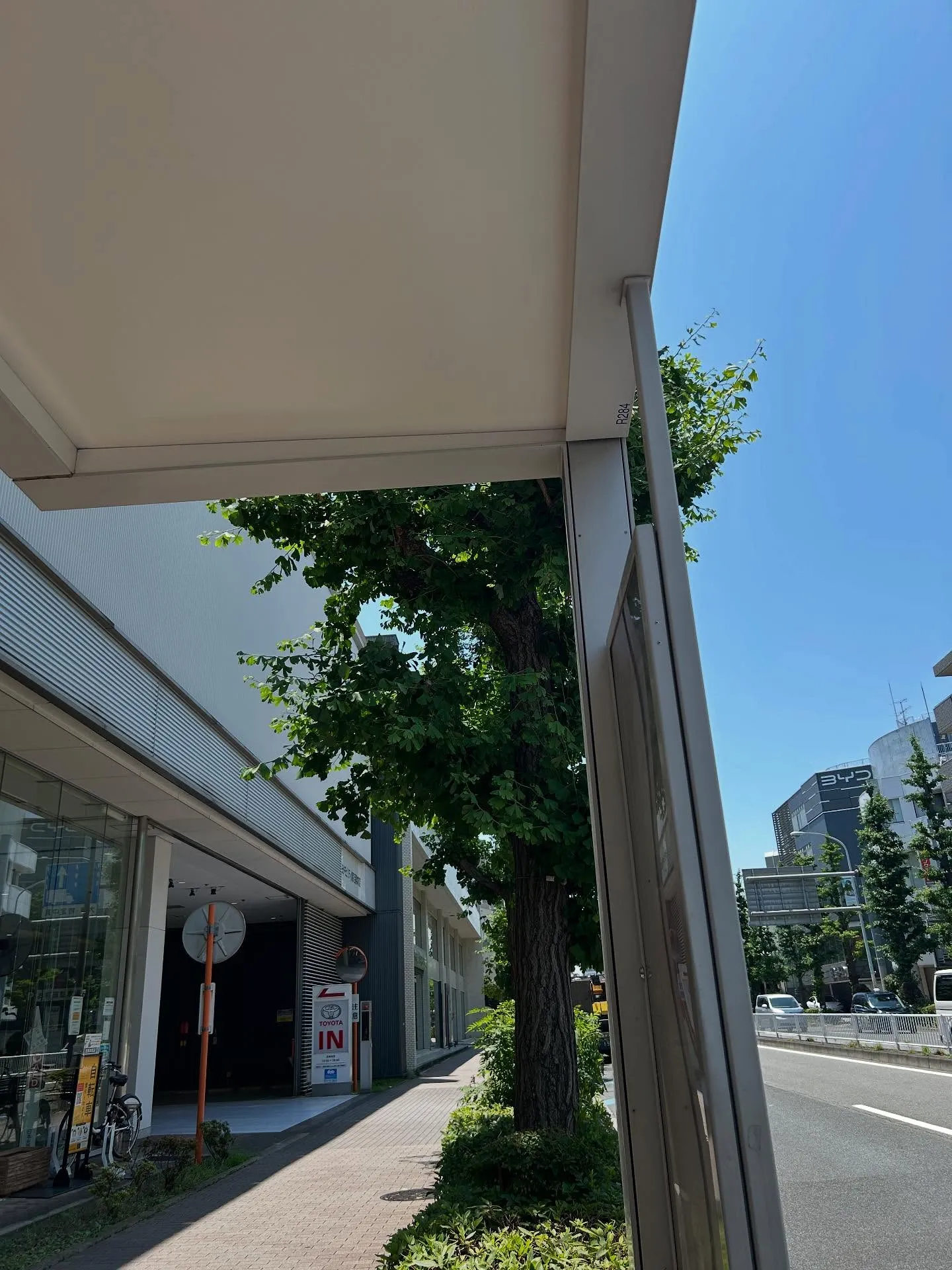 『ピアノ教室』ピアノ演奏の喜び - シェリー・アーツ音楽教室...