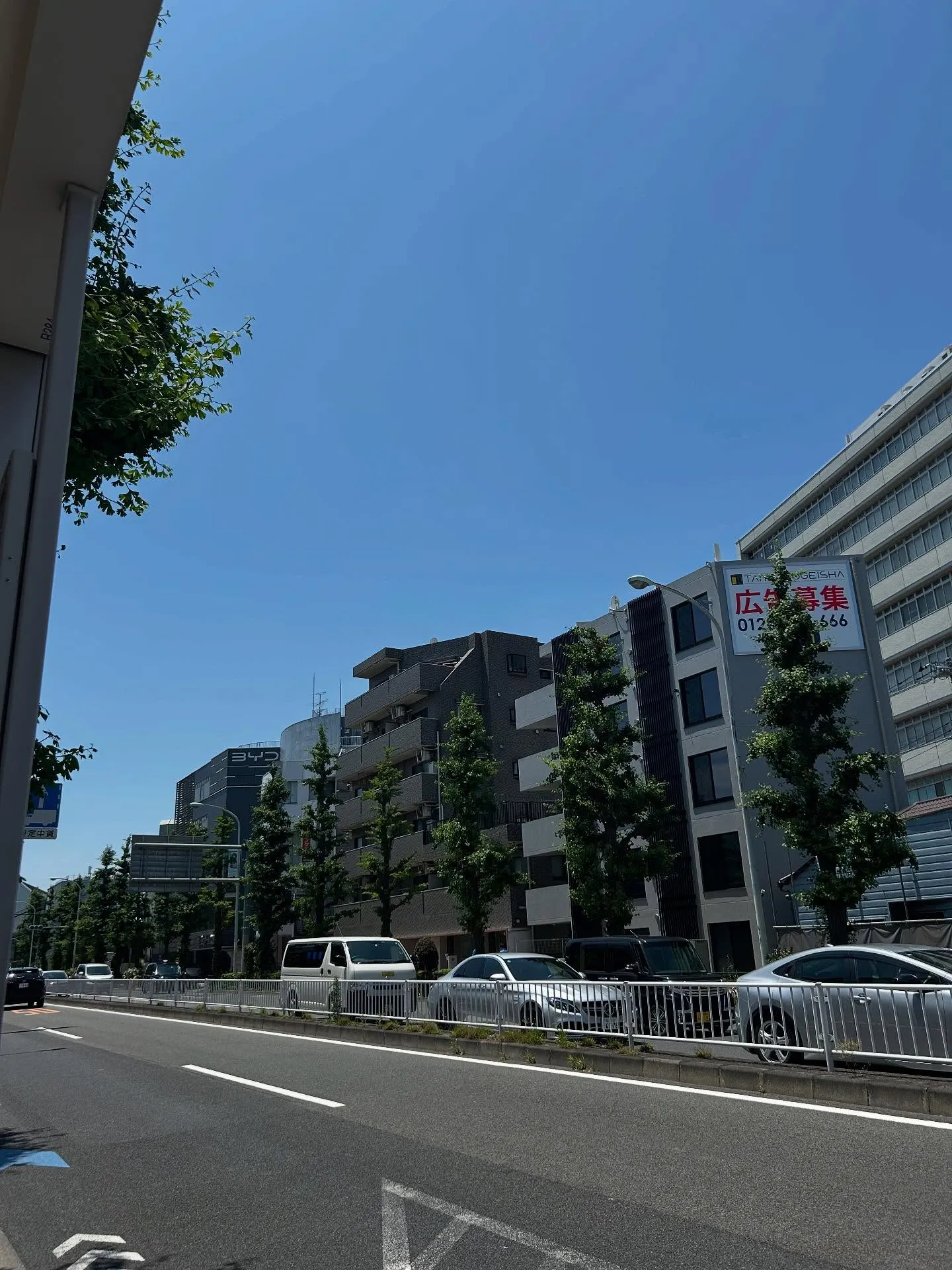 『ピアノ教室』ピアノ演奏の喜び - シェリー・アーツ音楽教室...