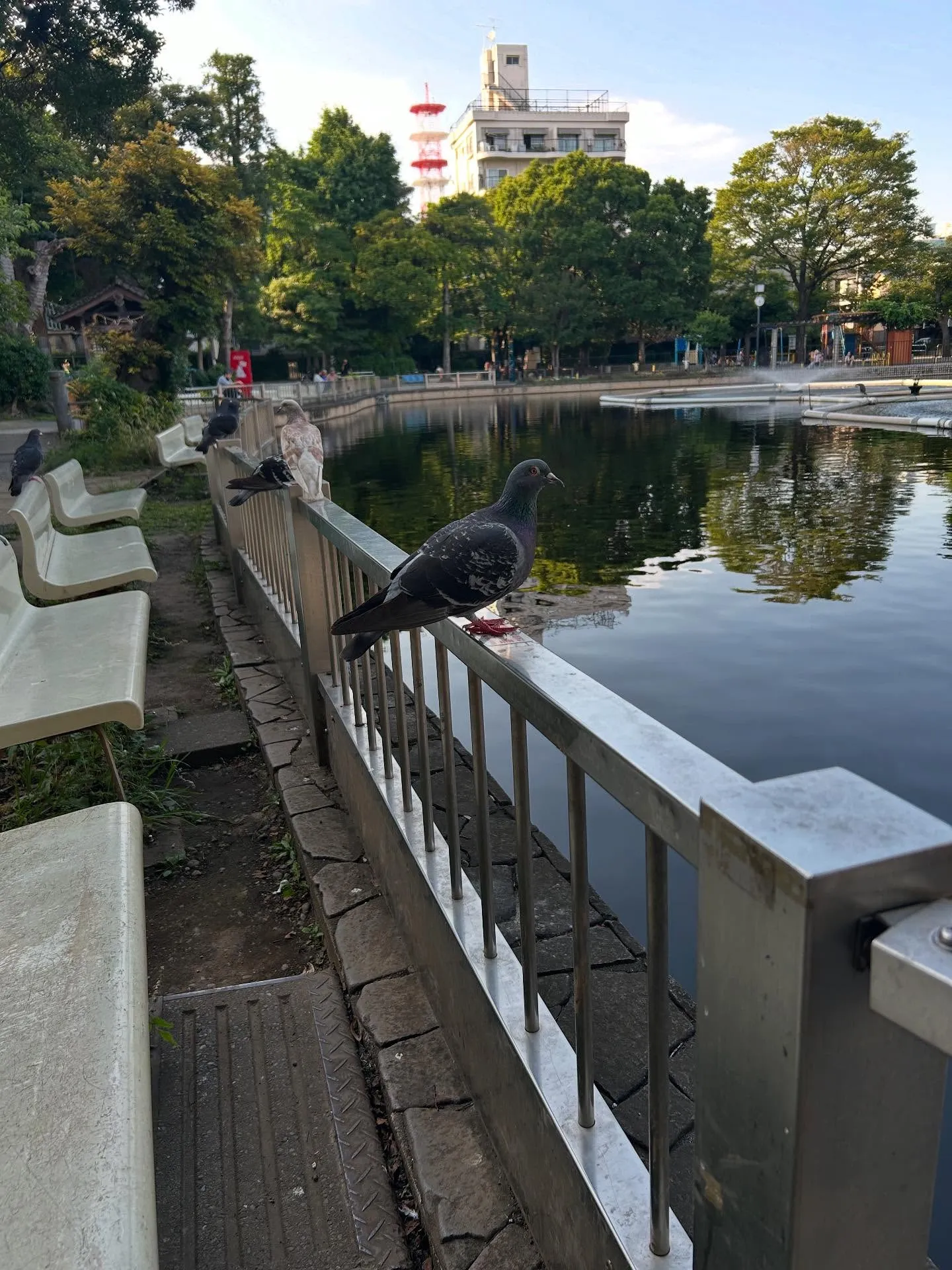 『ピアノ教室』教えることと弾くことの大切さ｜シェリー・アーツ...