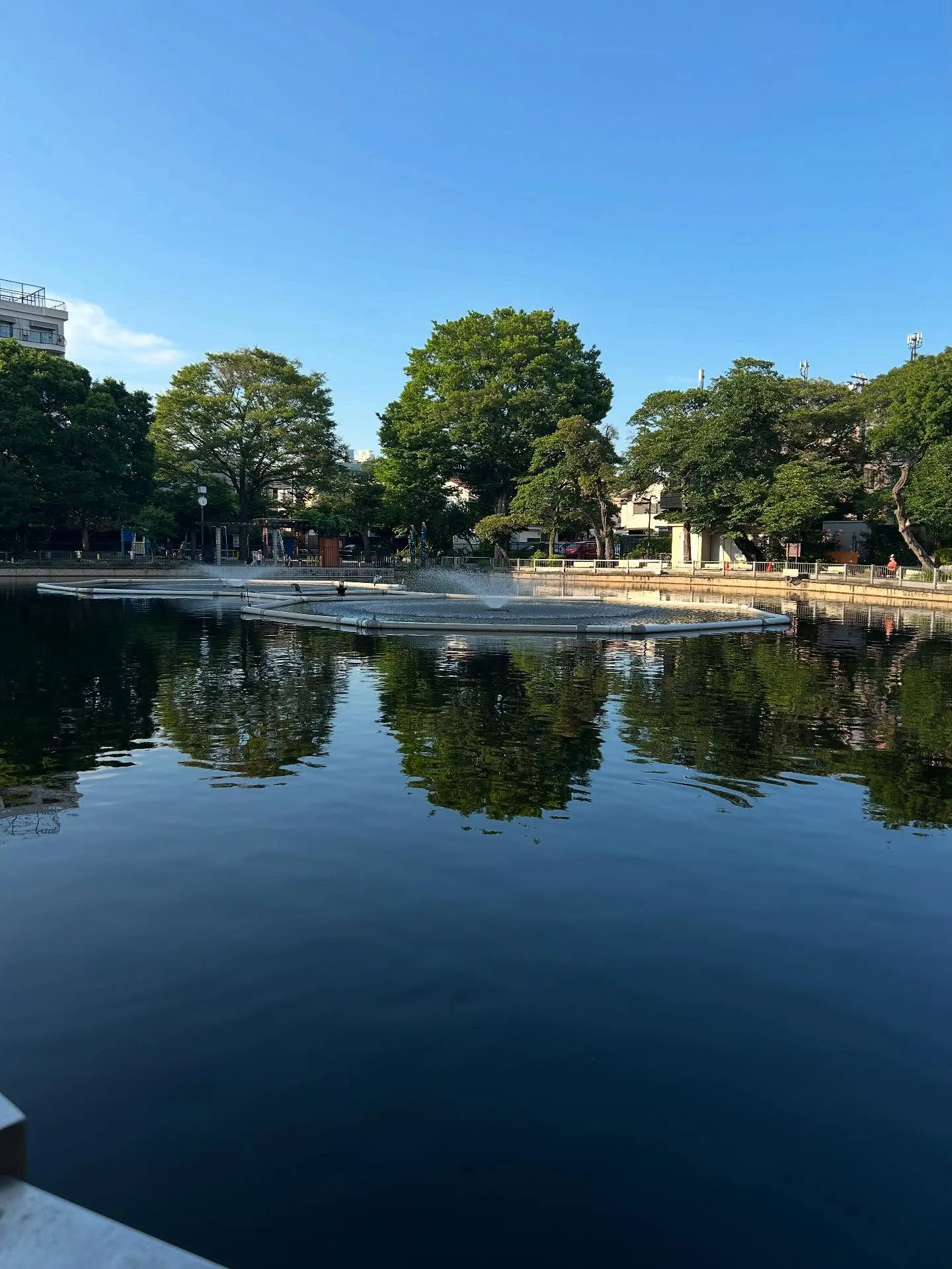 『ピアノ教室』教えることと弾くことの大切さ｜シェリー・アーツ...