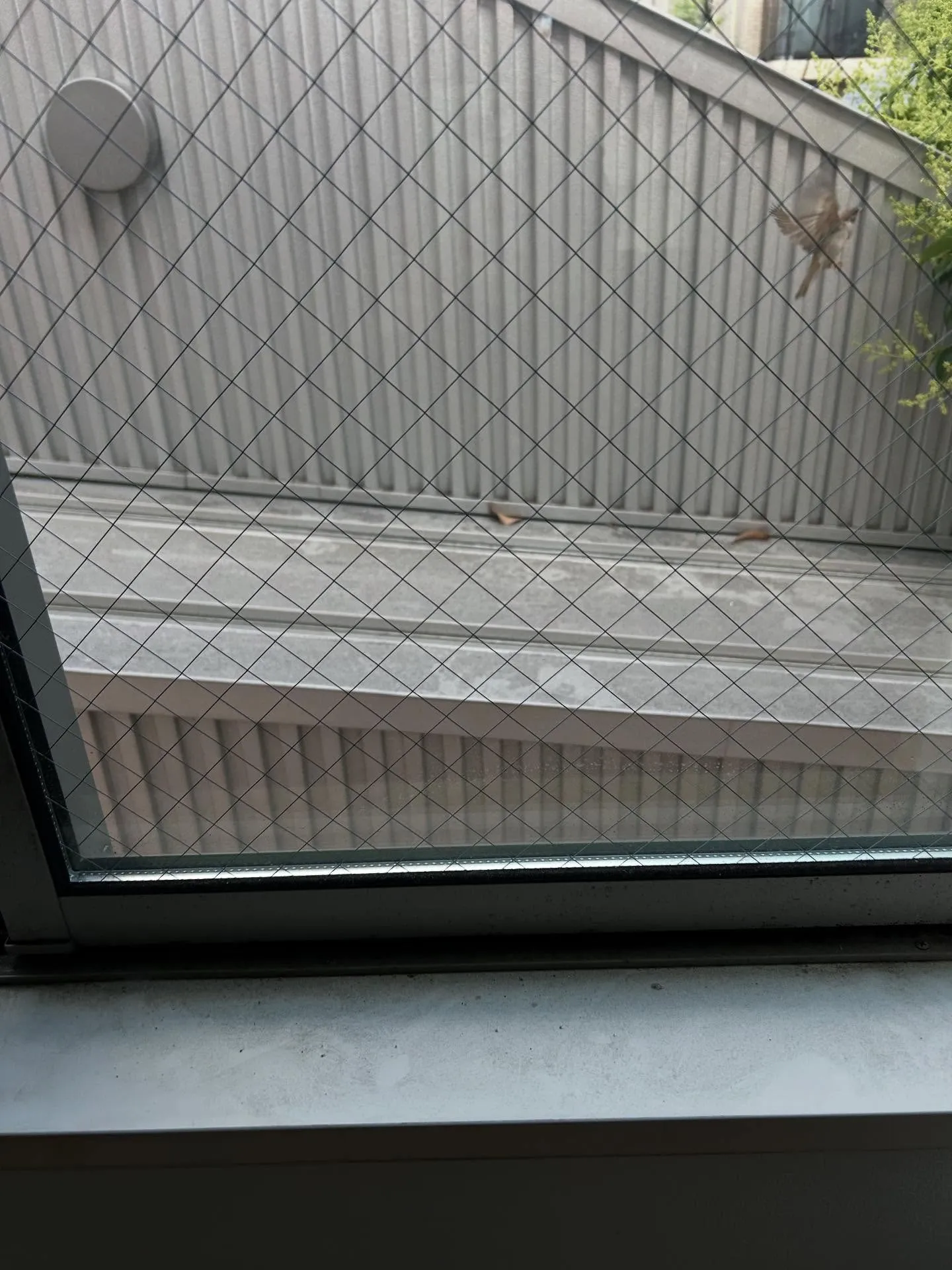 『ピアノ教室』月謝払い過ぎていませんか?シェリー・アーツ音楽...