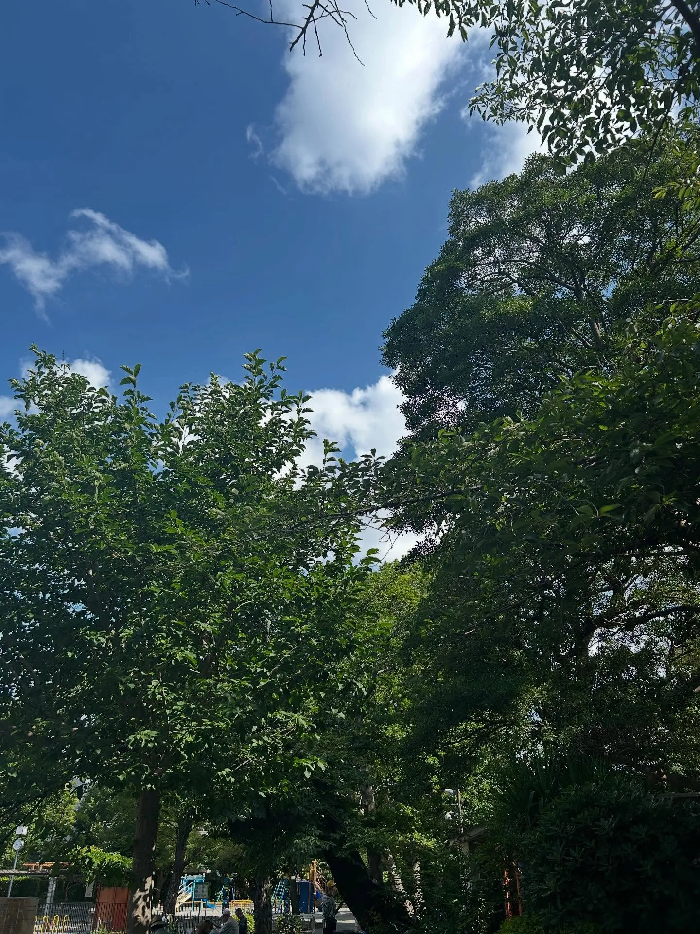 『ボーカル教室』元気に歌いましょう!シェリー・アーツ音楽教室...