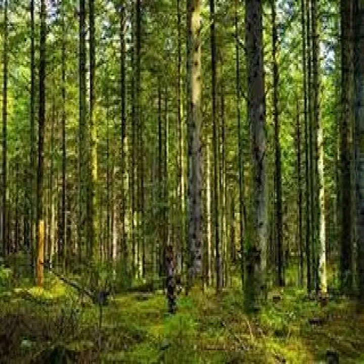 『ピアノ教室』ピアノの多層構造と立体感の魅力『学芸大学』