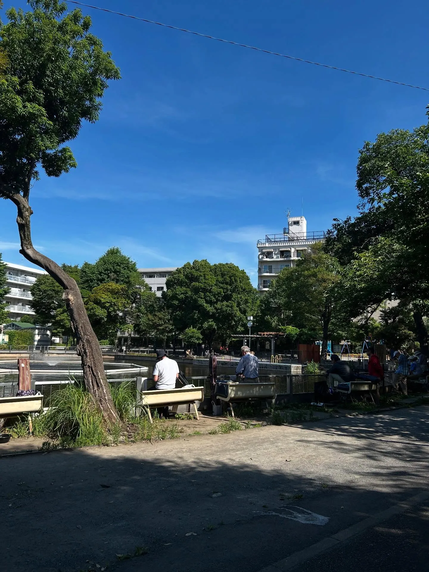 『ピアノ教室』音楽は調和：シェリー・アーツ音楽教室のご紹介『...