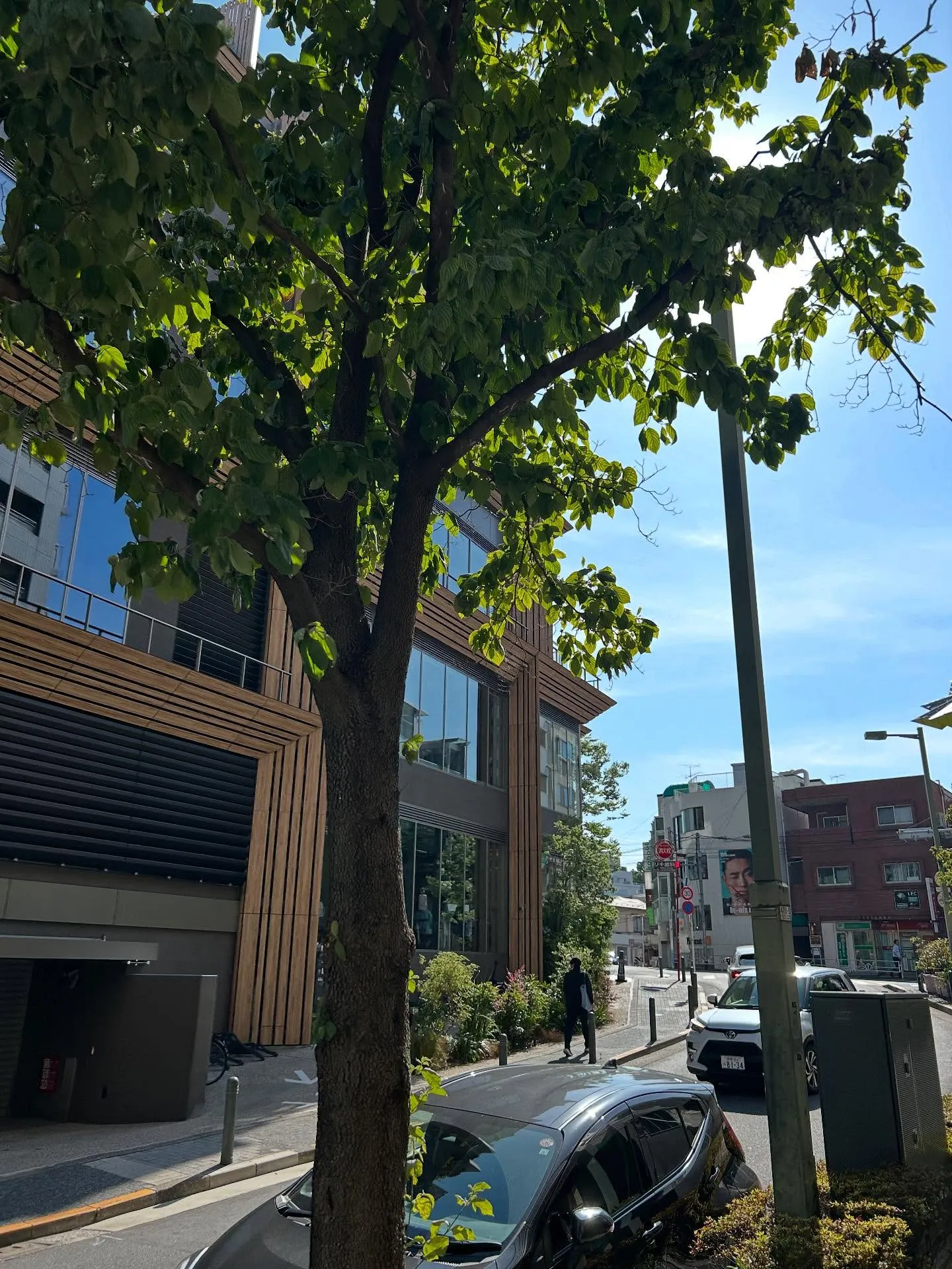 『ピアノ教室』ピアノ音楽の完成度の高さとシェリー・アーツ音楽...