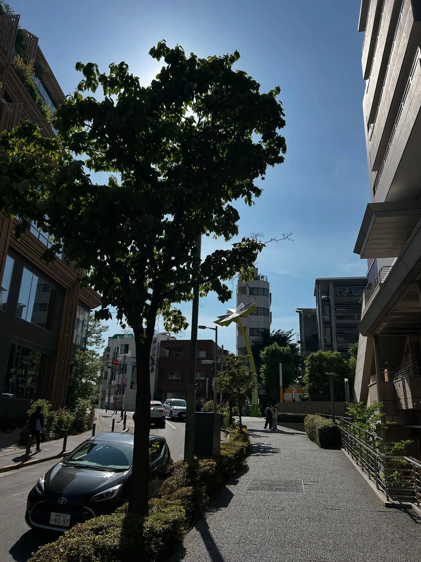 『ピアノ教室』ピアノ音楽の完成度の高さとシェリー・アーツ音楽...