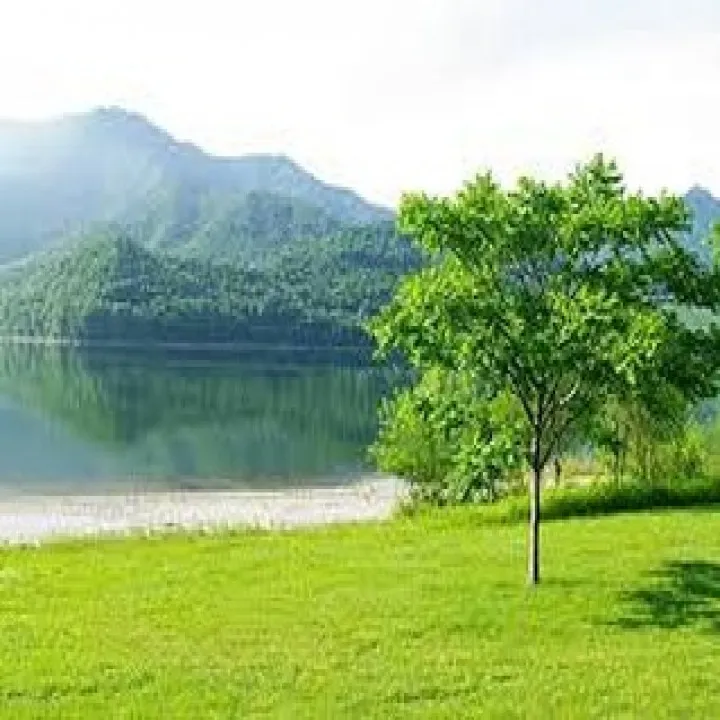 『ピアノ教室』まだ大手を選びますか？シェリー・アーツ音楽教室...