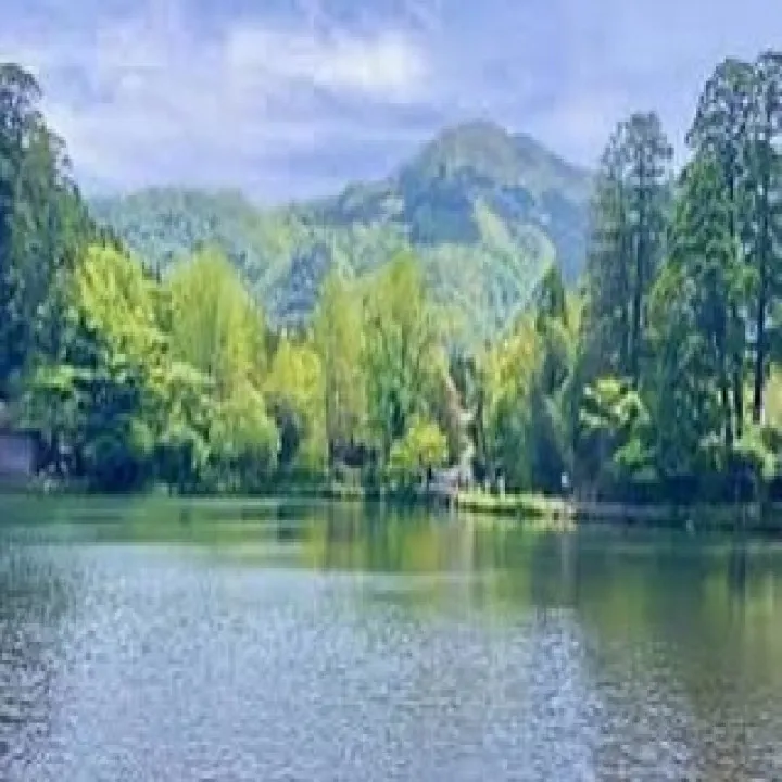 『ピアノ教室』まだ大手を選びますか？シェリー・アーツ音楽教室...