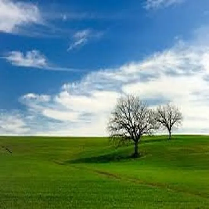 シェリー・アーツ音楽教室は、東京都目黒区にある音楽教室で、特...