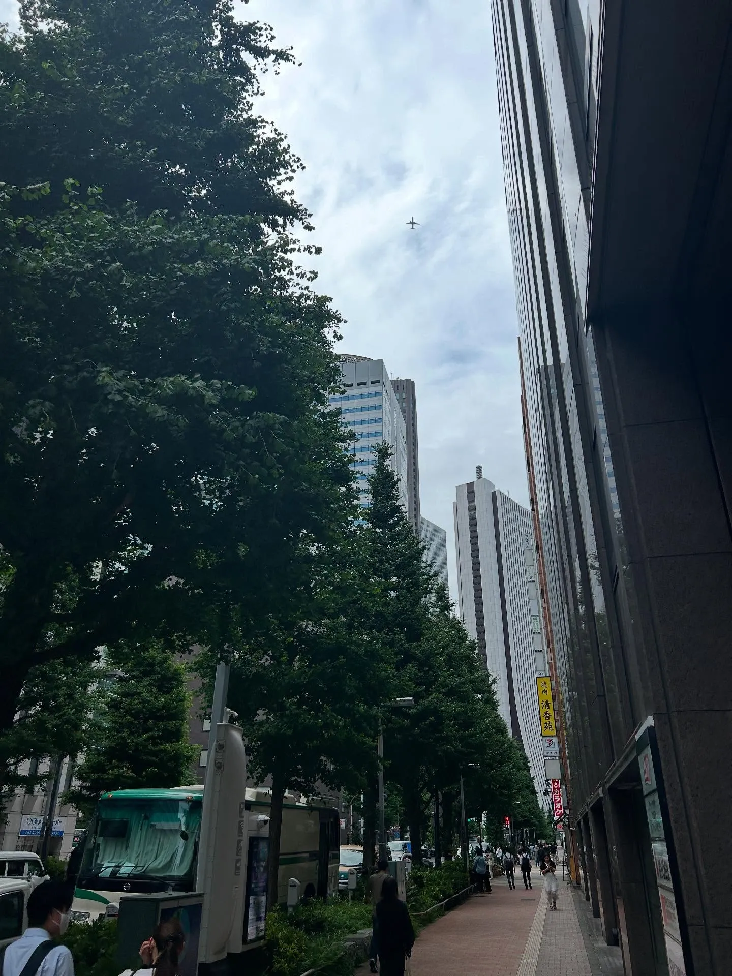 『ピアノ教室』イメージが先:成功する音楽教育の秘訣『学芸大学...