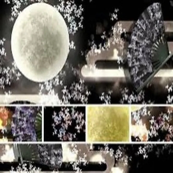 『音楽教室』日本の音楽文化を深く知ろう!シェリー・アーツ音楽...