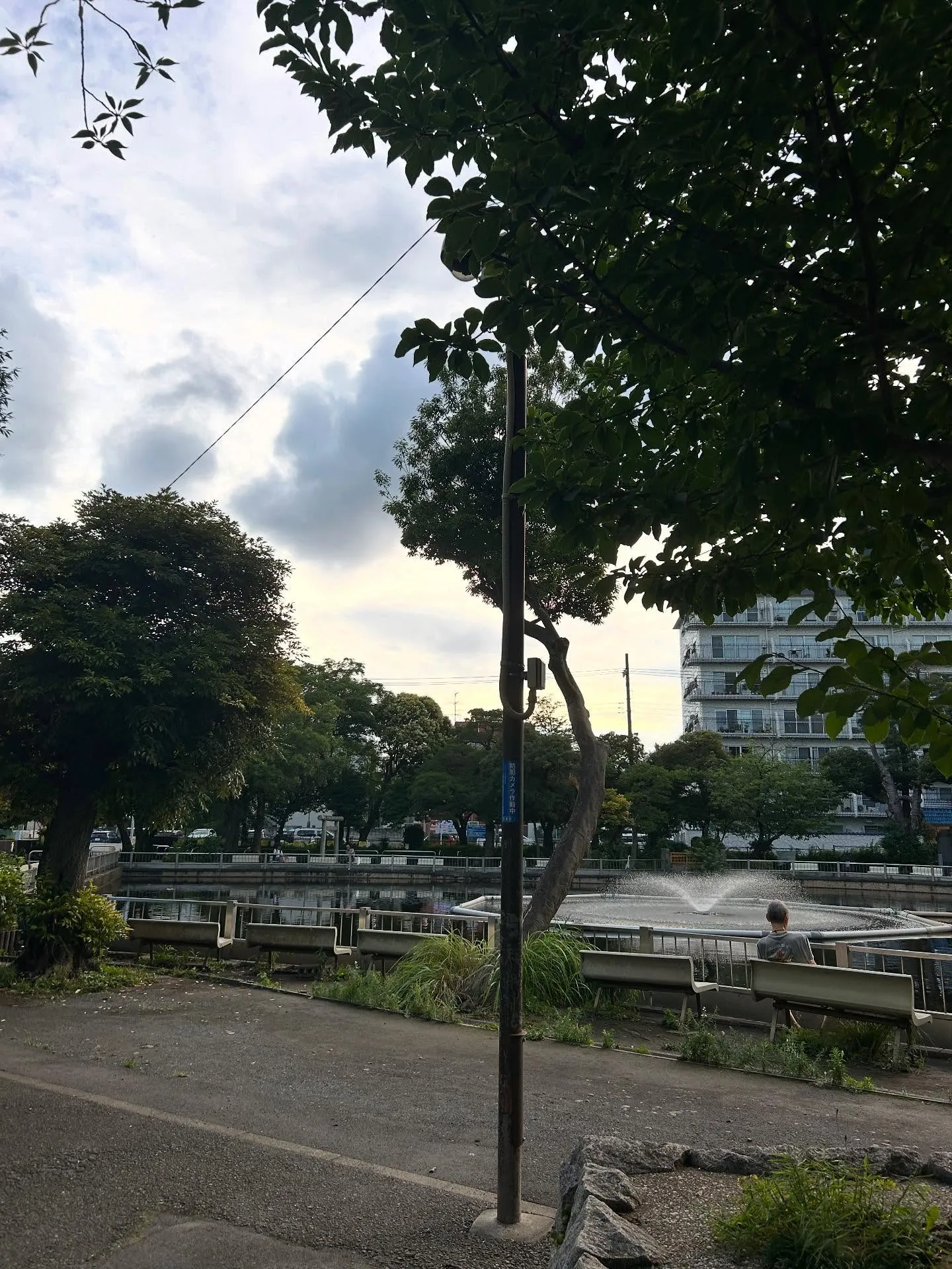 『ピアノ教室』ピアノをもう一度始めてみませんか?シェリー・ア...