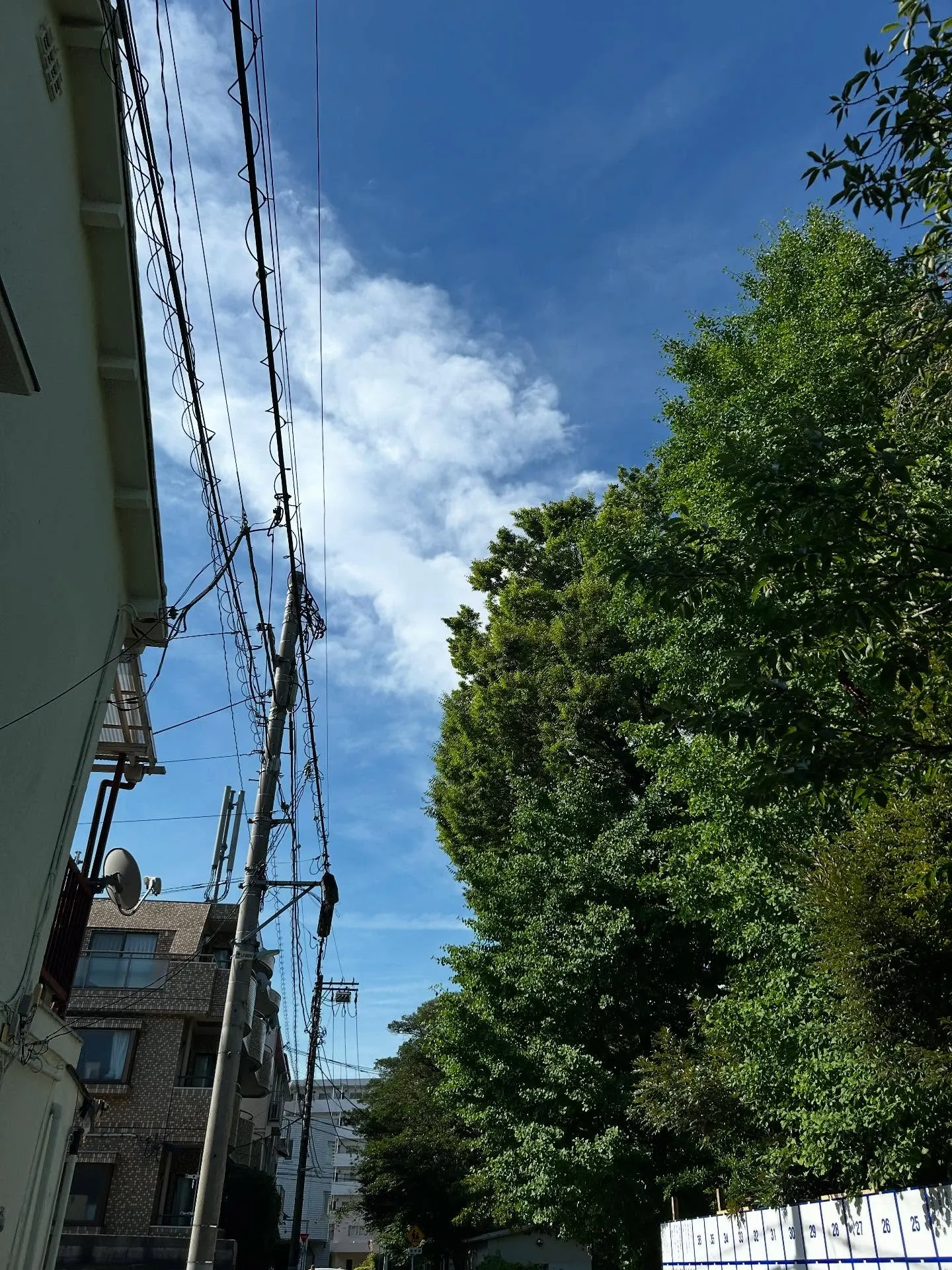 『ピアノ教室』ピアノの多様な音色について『学芸大学』