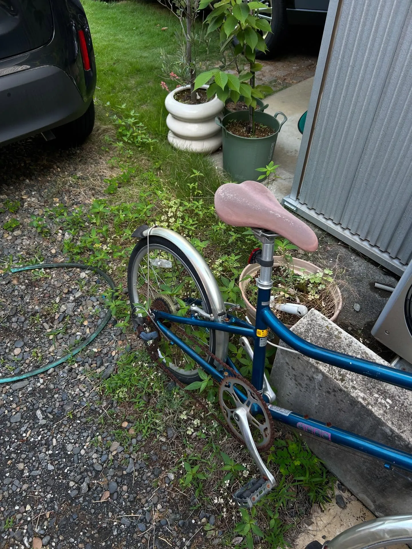 『音楽教室』シェリー・アーツ音楽教室のきめ細かな対応 - 生...