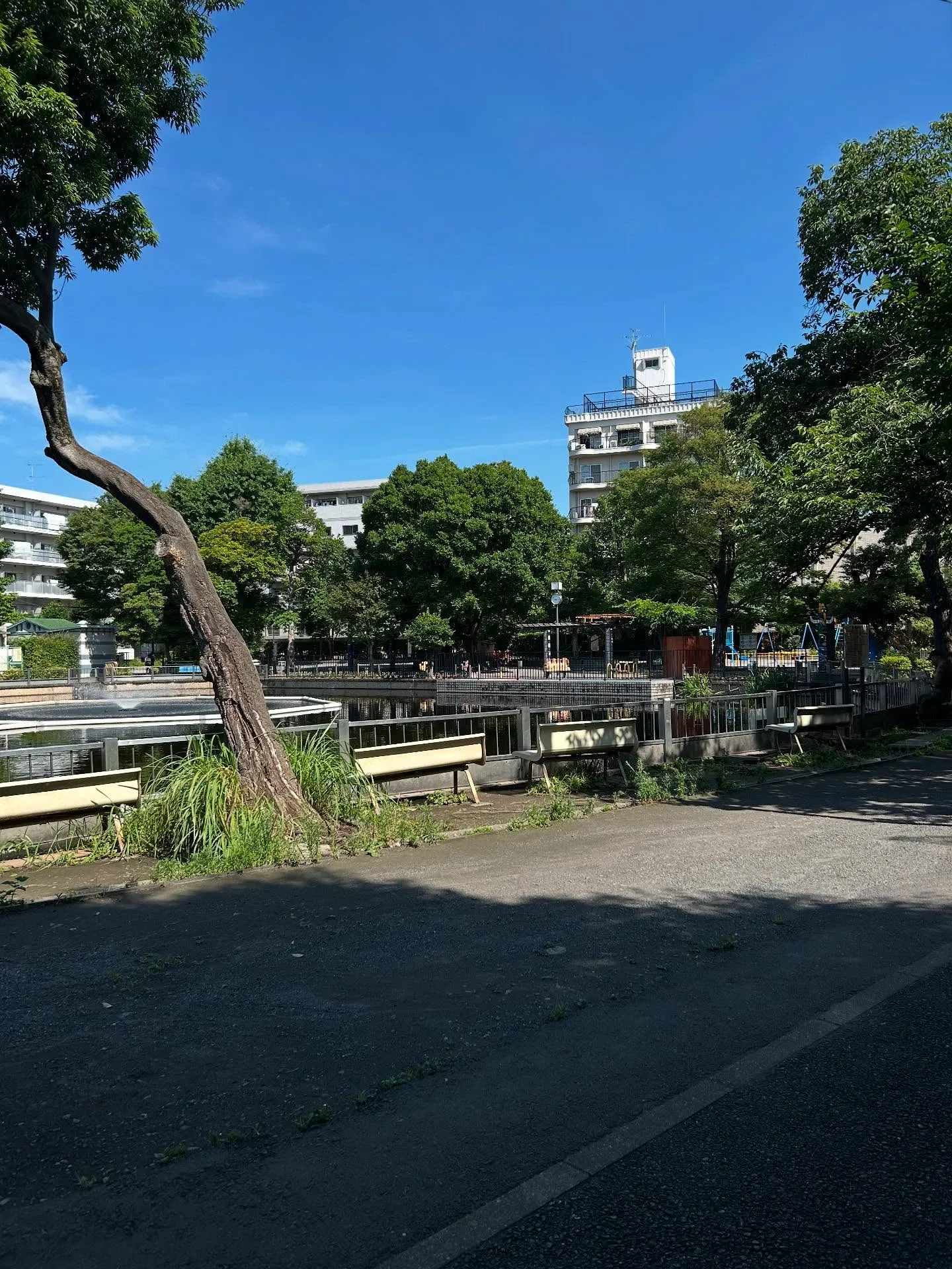 『ピアノ教室』暗譜の重要性とそのメリット『学芸大学』