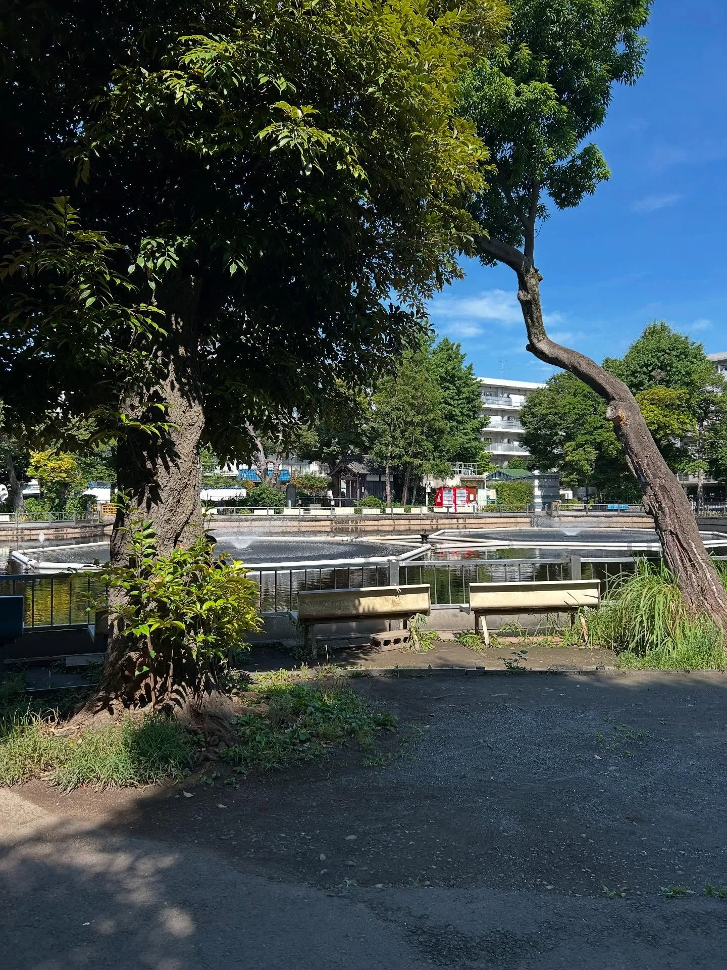 『ピアノ教室』暗譜の重要性とそのメリット『学芸大学』