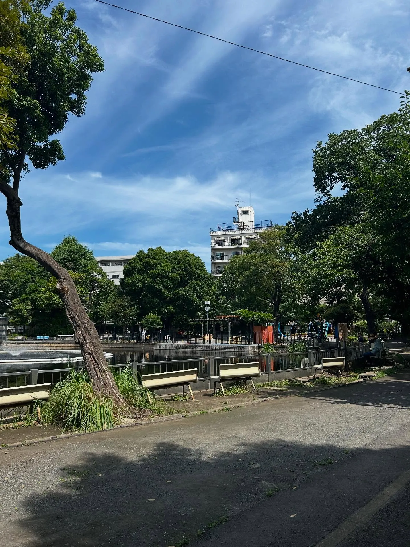 『音楽教室』音楽の相談何でも乗ります！シェリー・アーツ音楽教...