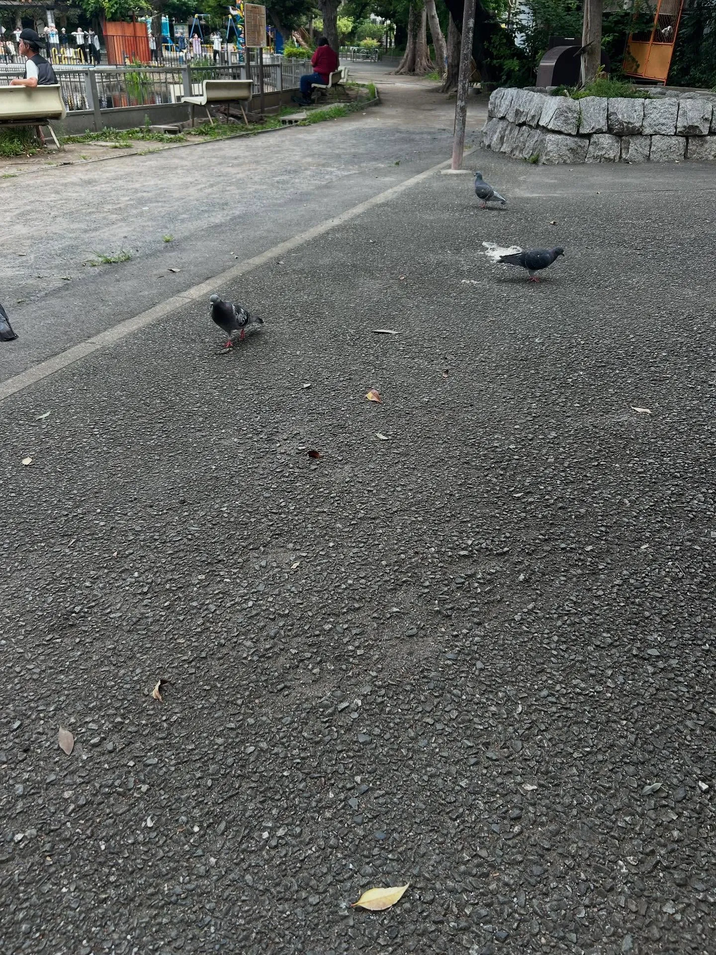 『ピアノ教室』昔習っていたピアノ、また始めてみませんか?『学...