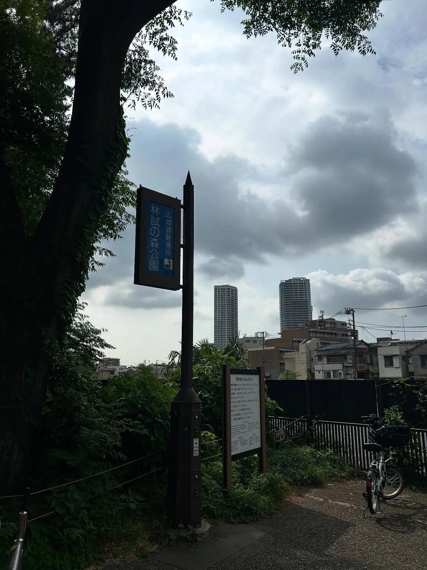 『ピアノ教室』ピアノを弾く際の脱力の本質とその重要性『学芸大...