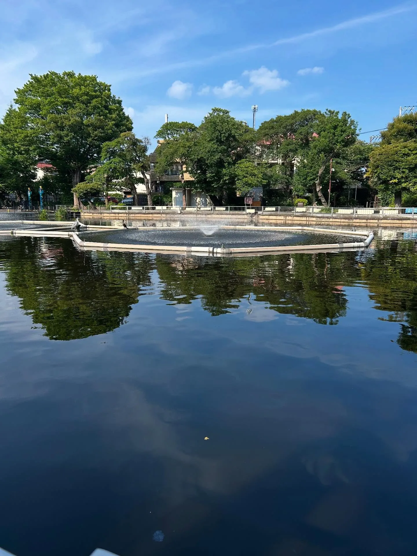 『ピアノ教室』結果にコミットします！シェリー・アーツ音楽教室...