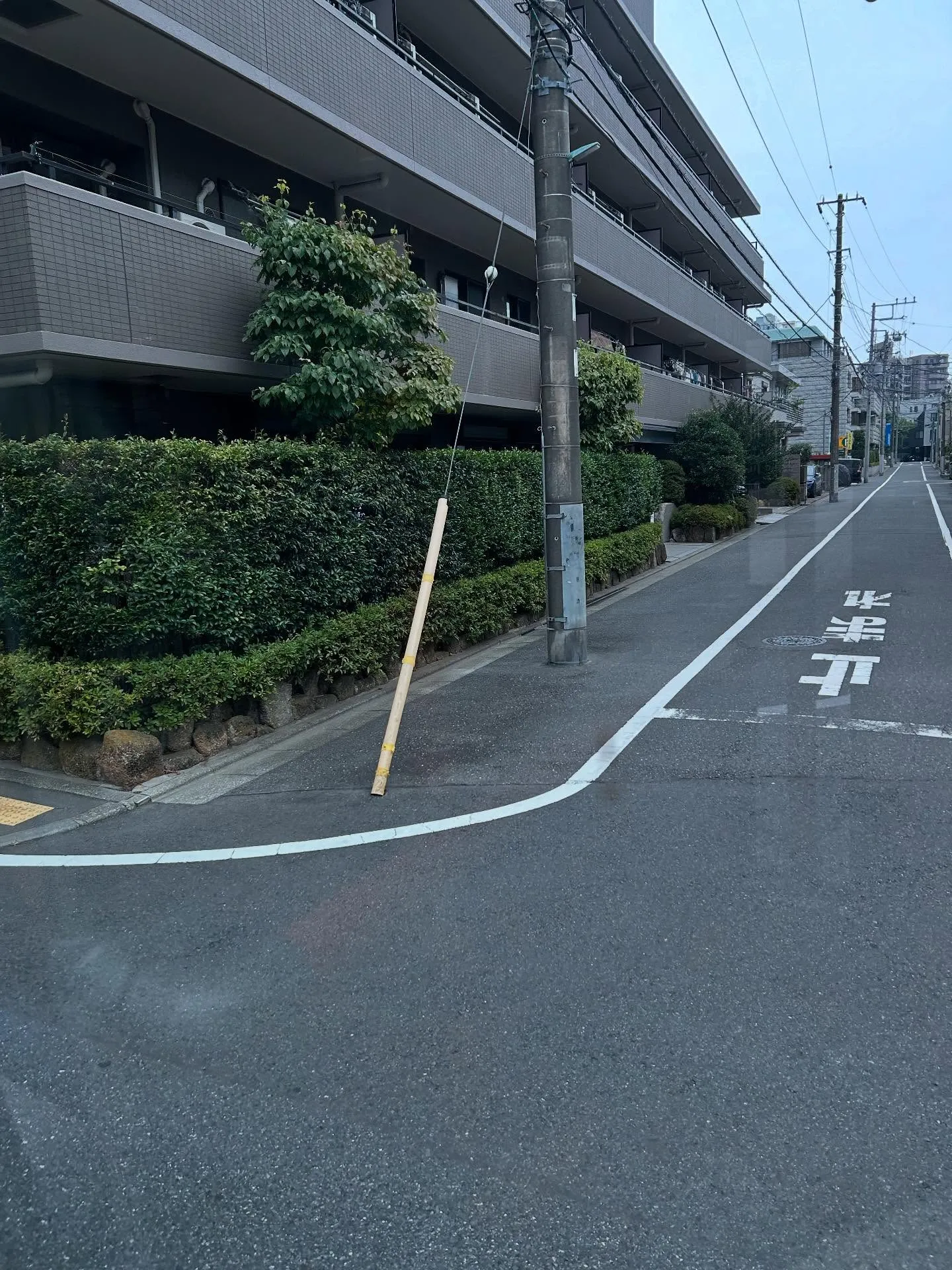 『作曲教室』作曲は難しくない！シェリー・アーツ音楽教室であな...