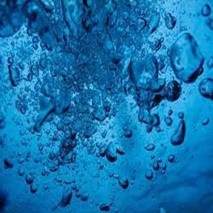 シェリー・アーツ音楽教室は、生徒や利用者から非常に高い評価を...